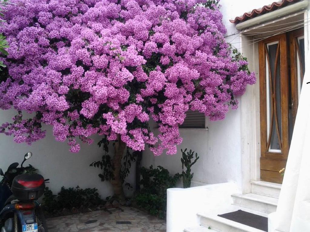 Villa Lea Viareggio Pokoj fotografie